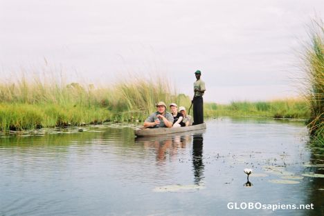 Postcard Okavango Delta Botswana