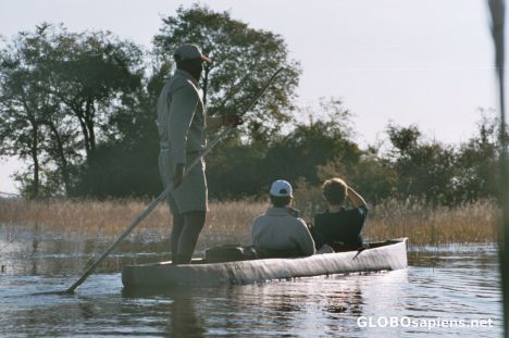 Postcard Exploring the Okovango Delta by Mokoro
