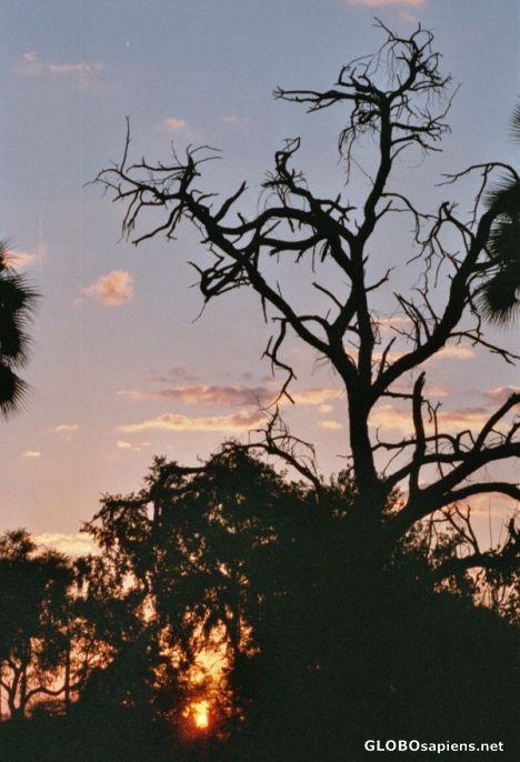 Postcard African bush Sunset