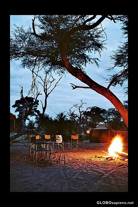 Postcard Evening at Campground in Moremi 2nd version
