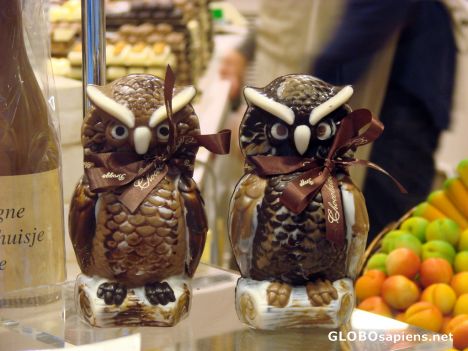 Postcard chocolate owls