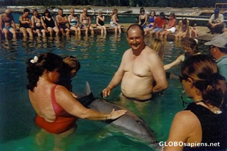 Postcard Dolphin Experience