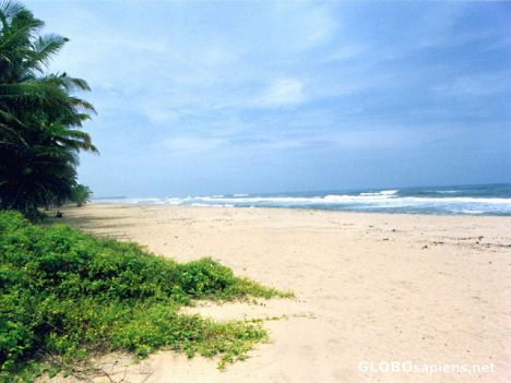 Postcard Beach Sand
