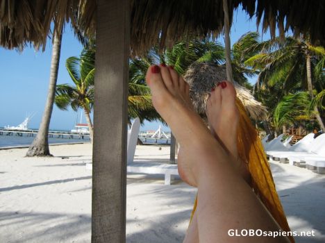 Postcard In a Hammock - where I would rather be!