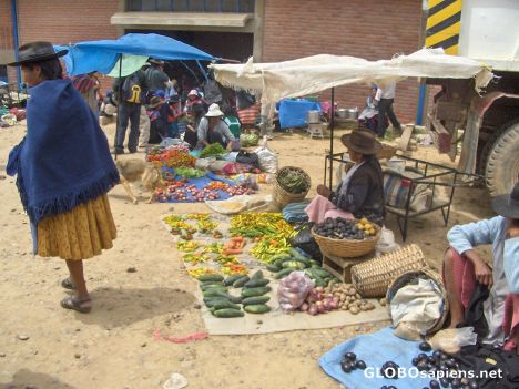 Postcard Tarabuco Market