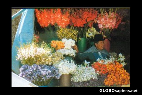 Postcard Flower Seller