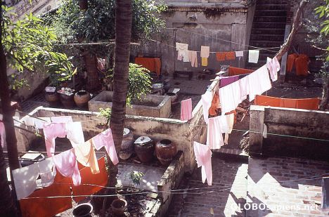 Postcard Washday in the nunery
