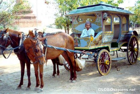 Postcard Traditional horse cart, Pagan