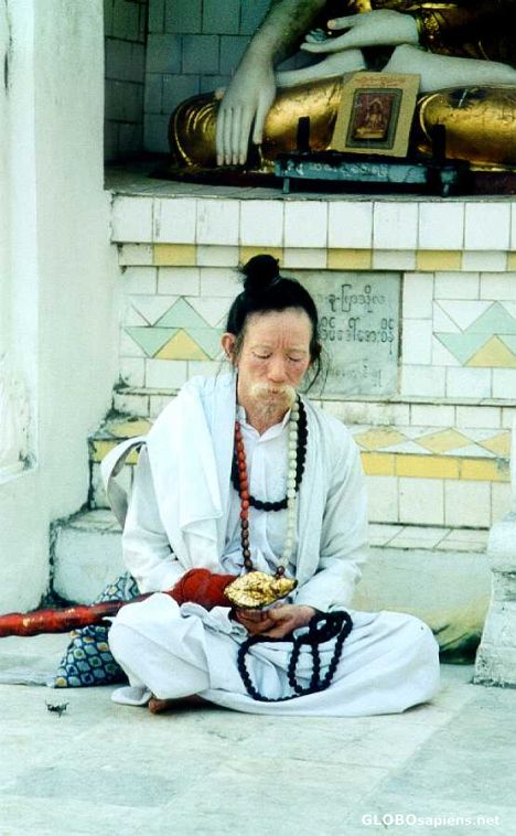 Postcard Elderly Chinese Man Meditating at the Shwedagon