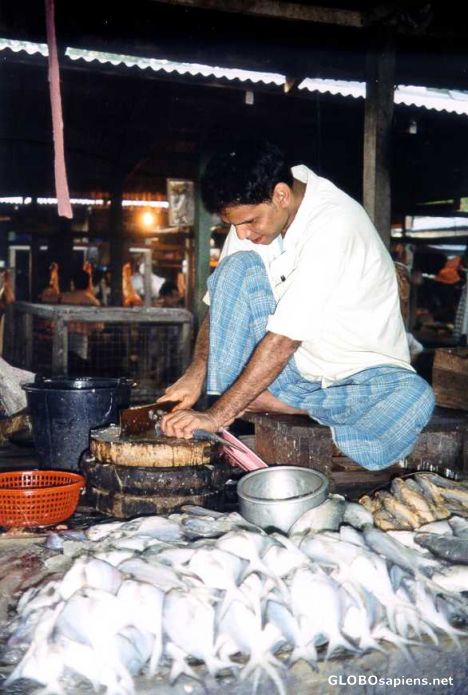 Postcard Fish Vendor at Minigon Market, Rangoon