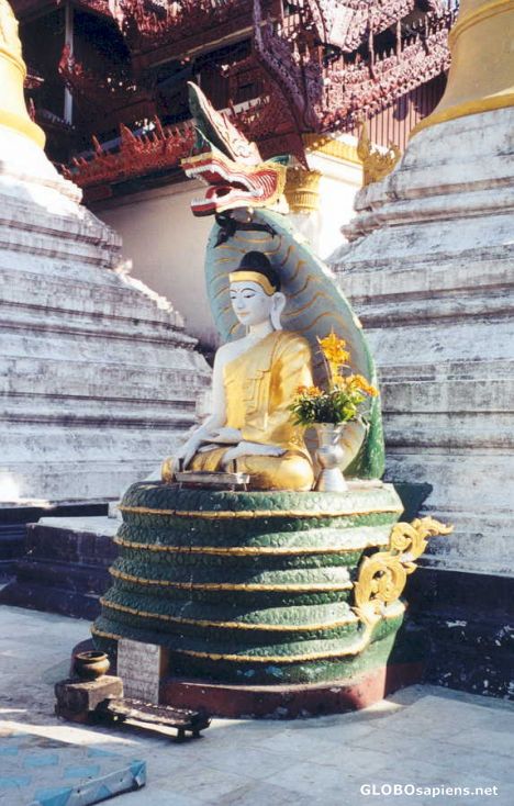 Postcard Naga Buddha Statue, Shwedagon