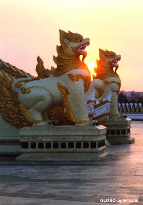 Postcard Swedo Pagoda's guardian Chinthe at sunset
