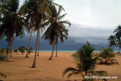 Postcard Ouidah - the beach