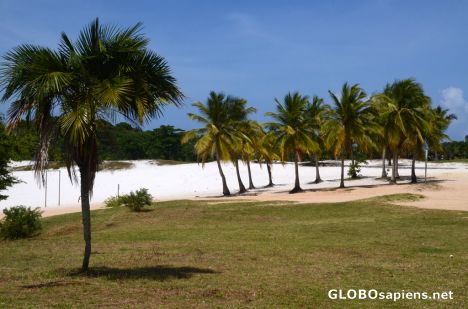 Postcard Salvador de Bahia (BR) - the beach by airport