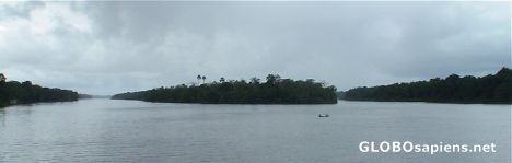 Postcard Delta of the Amazon River
