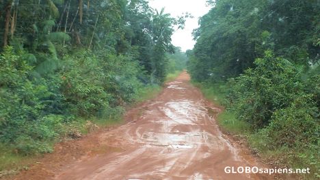Muddy road to Macapa