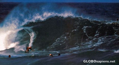 Postcard Big Wave!!
