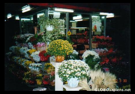 Postcard Flower stall