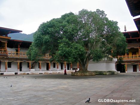 Postcard Punaka Dzong: first courtyard
