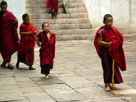 Postcard young monks