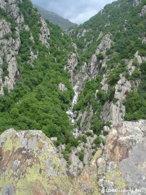 Postcard Stara Reka Reserve