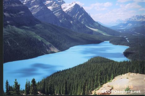 Postcard Peyto Lake