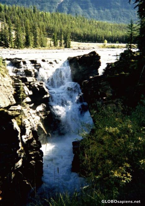 Postcard Athabasca Falls