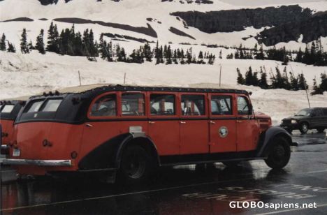 Postcard Old Bus on Logan Pass