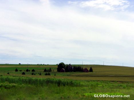 The oat fields and farms of Prince Edward Island