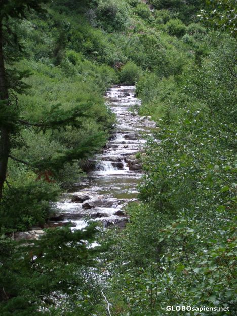 Postcard A stream on the trail to Bertha Falls