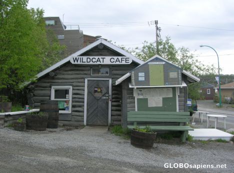 Postcard This is the Wildcat Café