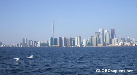 Postcard Toronto Skyline