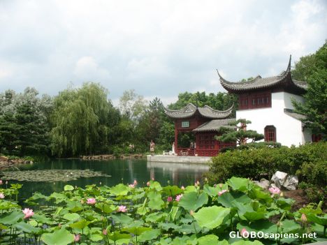 Postcard Chinese Garden