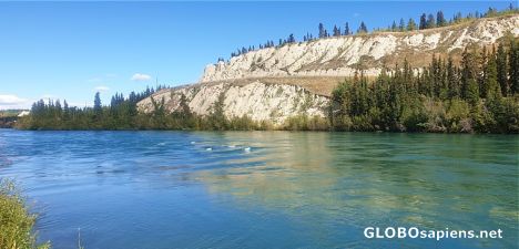 Postcard Yukon river in Whitehorse