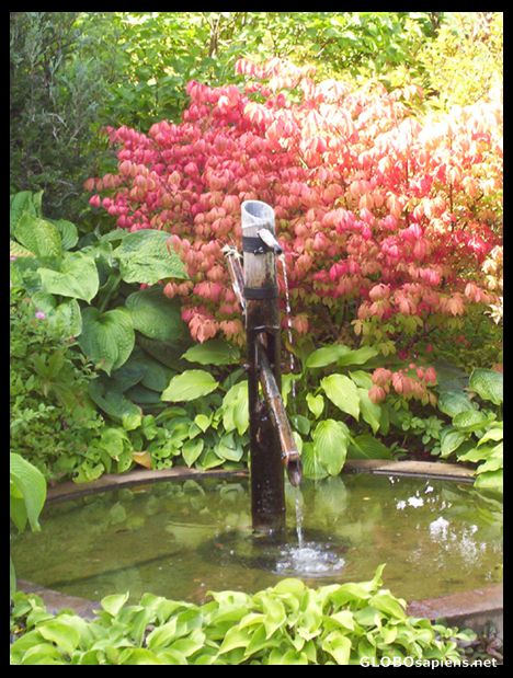 Postcard Water fountain in the Perennials Garden