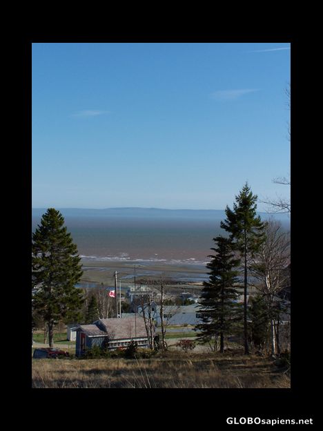 Postcard View of the Bay of Fundy from Dow Hill, Alma