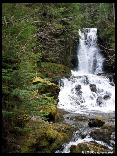 Postcard Dickson Falls, Fundy National Park by Alma
