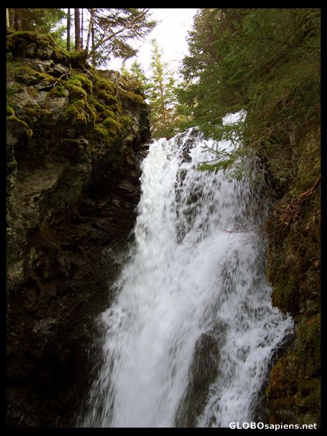 Postcard Dickson Falls, Fundy National Park