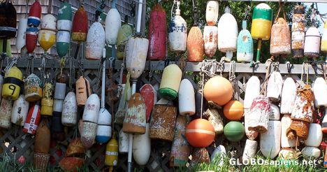 Postcard An assortment of buoys hung on a fence by a house