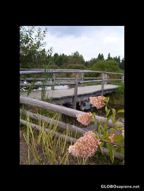 Postcard Bridge by duck pond