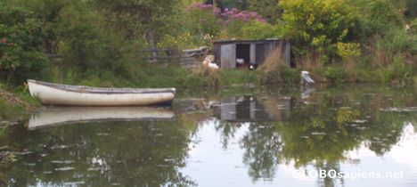 Postcard Pond and ducks, Saint Andrews, Canada