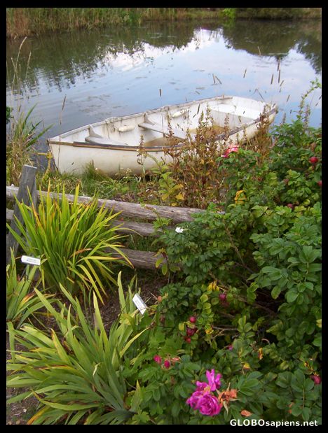 Postcard The Duck Pond in Kingsbrae Garden, St Andrews