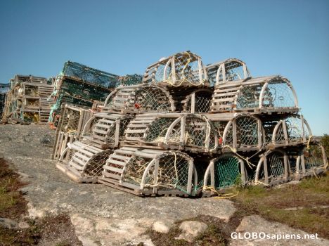 Postcard Lobster traps at Peggys Cove