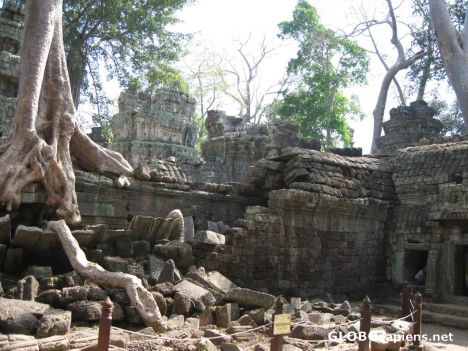 Postcard Ta Phom Ruins - Tree Roots & Rubble