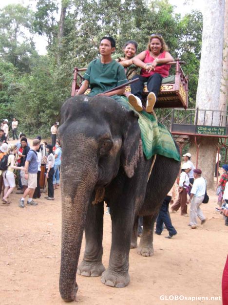 Postcard Elephant ride up Phnom Bakheng For Sunset View