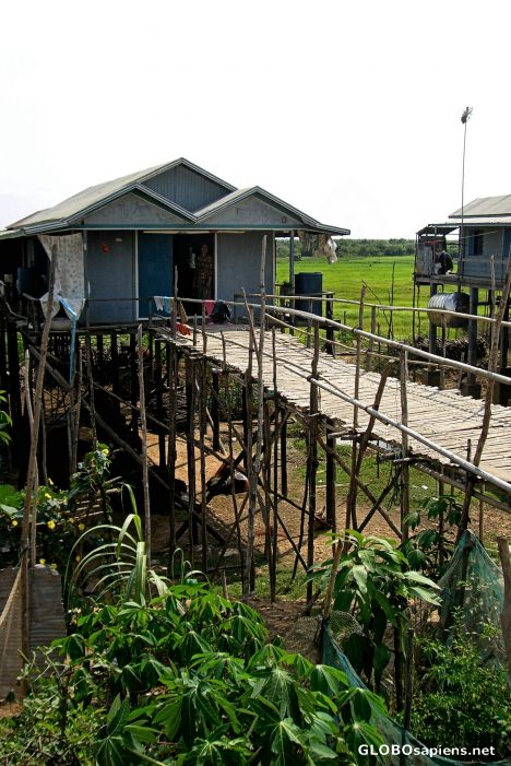 Postcard Rural Home Near Tonle Sap Lake