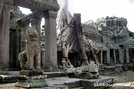 Postcard Preah Khan Temple