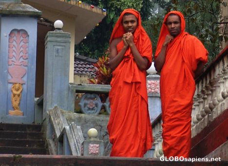 Monks on the steps of Pussellawa Temple