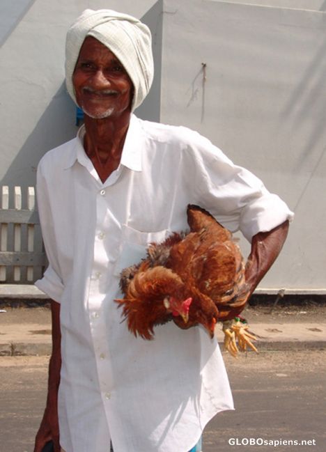 Postcard Chicken owner Trincomalee
