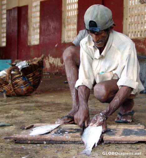 Postcard Fishmonger Trincomalee